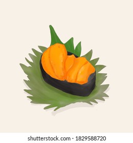 vector illustration of urchin sushi