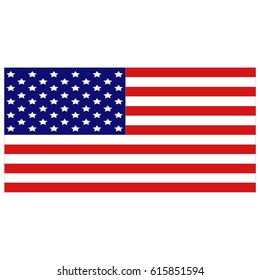 vector illustration of USA flag
