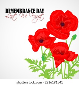 vector illustration for USA remembrance day card banner flyer poster