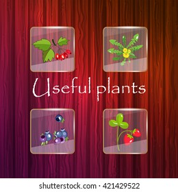 vector illustration of useful plants under glass in a drop of water a symbol of nature