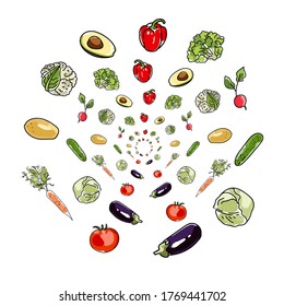 vector illustration useful vegetables arranged in a circle on a white background