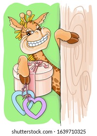 vector illustration valentines day funny giraffe gives a gift