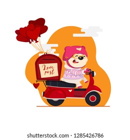 Vector illustration of Valentines day. Postman card template design delivers love letters with cute bear character on a scooter, heart-shaped balloons.