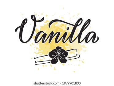 Vektorgrafik von Vanillepäckchen für Verpackungen, Produktdesign, Banner, Aufkleber, Preisliste für Gewürzgeschäfte und Dekoration. Handgeschriebenes, isoliertes Wort mit Blume

