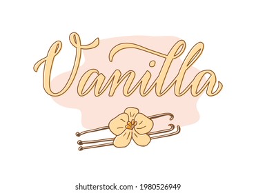 Vector illustration of vanilla lettering for packages, product design, banner, sticker, spice shop price list and  decoration. Handwritten isolated word with a flower
