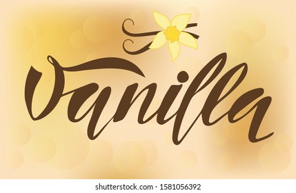Vector illustration of Vanilla text for logotype, t-shirt, banner, magazine, poster, decoration, postcard, label. Vanilla calligraphy background. Vanilla lettering. EPS 10. 