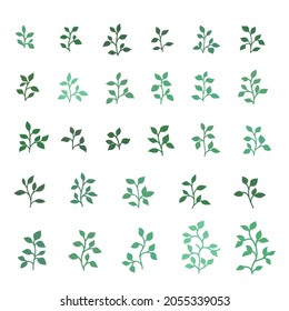 Vector illustration, variation of green branches and leaves of different plants
