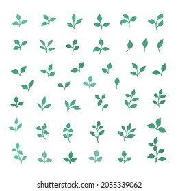 Vector illustration, variation of green branches and leaves of different plants
