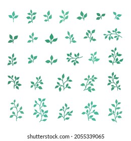 Ilustración vectorial, variación de ramas verdes y hojas de diferentes plantas