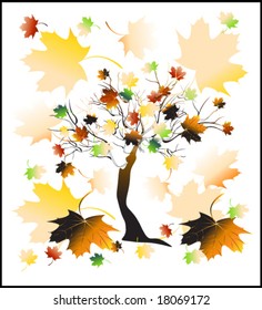 vector illustration of varicolored autumn