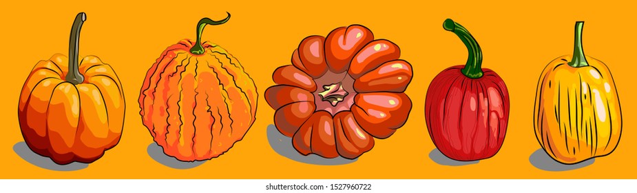 
Vector illustration of a variety of pumpkins on an orange background.