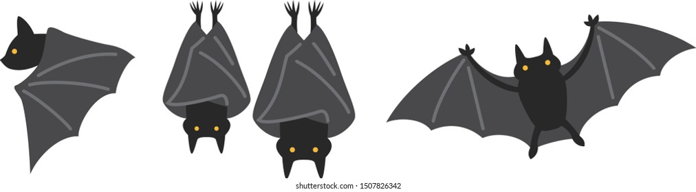Vector illustration of various bats.