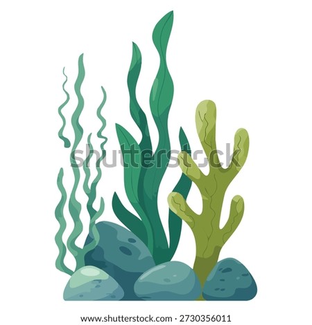 Vector illustration of various bottom underwater algae on rock ideal for marine ecosystem nature educational and underwater themed creative designs