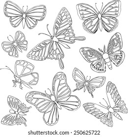 vector illustration of various butterflies