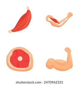 Vector illustration of various cartoon meat cuts including beef, chicken, and pork