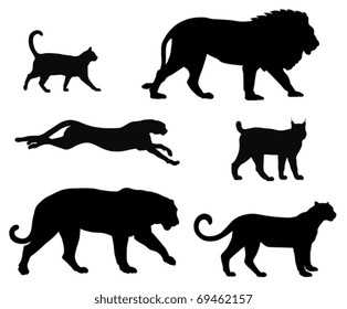 Vector illustration of various cats silhouettes