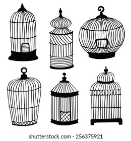 Vector illustration of various cells