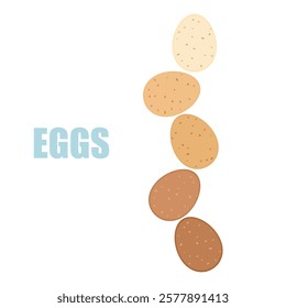 Vector illustration of various chicken eggs Infographic illustration of food products from poultry farms, isolated, nutritious, healthy food. Food menu. Cooking is isolated on a white background.