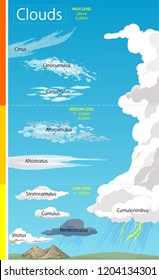 Vector illustration of a Illustration of various cloud formations