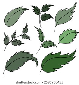 Vector illustration of various colored leaves on white background.