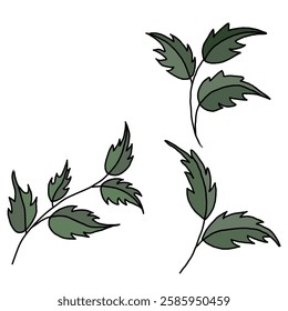 Vector illustration of various colored leaves on white background.