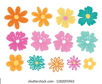 Vector illustration of various colorful spring flower blooms