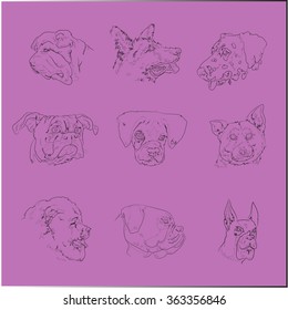 vector Illustration Various Dogs's Head Collection, Doodle Style