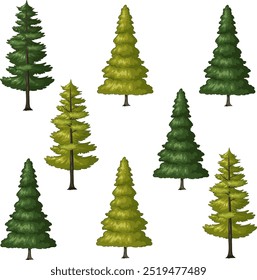 Ilustración vectorial de varios árboles de hoja perenne