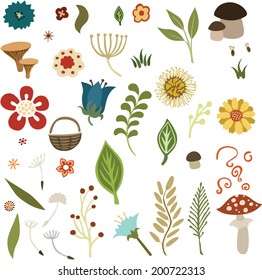 vector illustration of various flowers and plants 