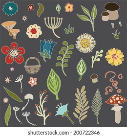 vector illustration of various flowers and plants 