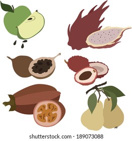 vector illustration of various fruits 