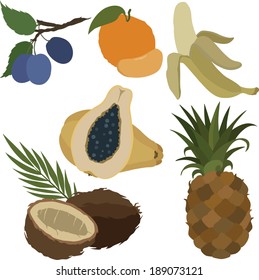 vector illustration of various fruits