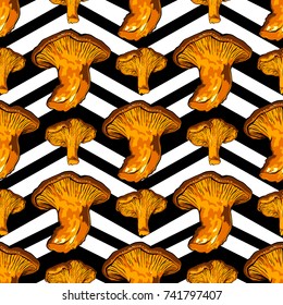 vector illustration of various fungi Chanterelle
