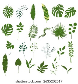 Vector Illustration of Various Green Leaves Isolated on White Background
