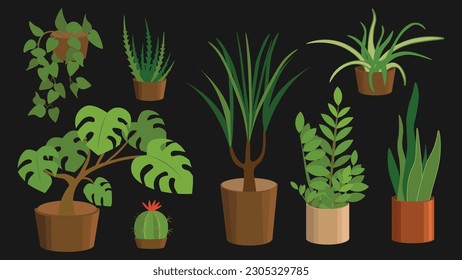 Vector illustration of various houseplants on black background.