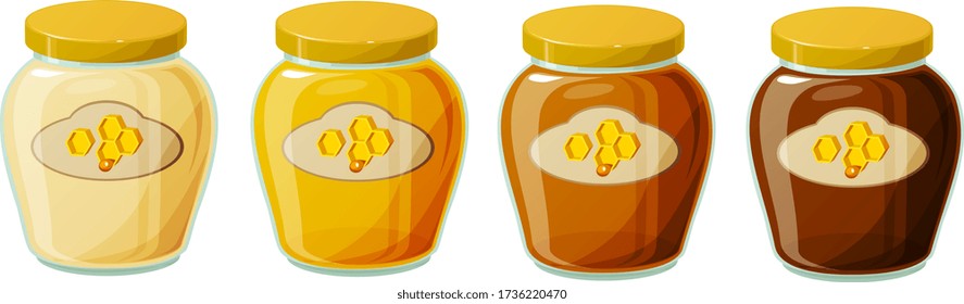 Vector illustration of various kinds of honey in glass jars isolated on white background