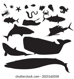 vector illustration of various kinds of sea animals on a white background