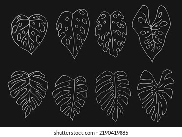 Vector illustration of various leaf shapes based on tropical plant species, visual objects isolated on a background with contrasting colors, suitable for background design, templates and illustrations