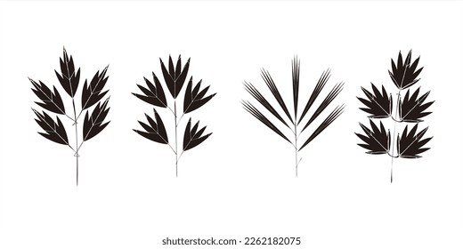 Vector illustration of various leaf shapes