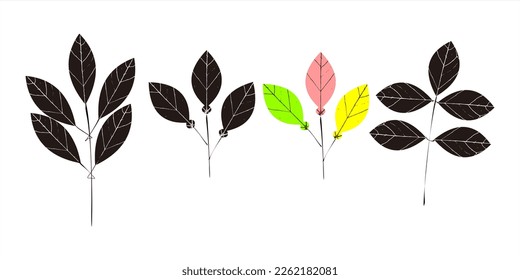 Vector illustration of various leaf shapes