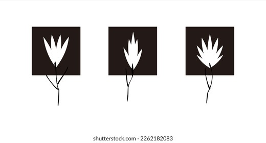 Vector illustration of various leaf shapes