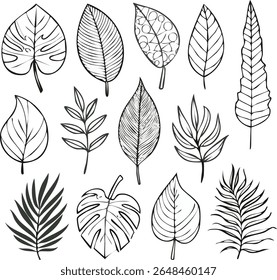 Vector illustration of various leaf shapes. Simple outline style perfect for coloring books, nature themes.