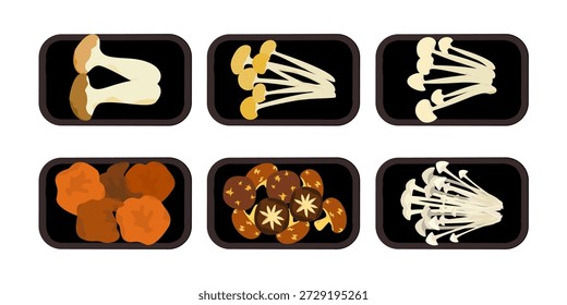 Ilustração vetorial de várias embalagens de cogumelos. Um conjunto de embalagens de cogumelos de um supermercado. Cada produto é isolado do fundo e facilmente editável