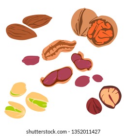 Vector illustration of various nuts. Food. Snack. Isolated on white background.