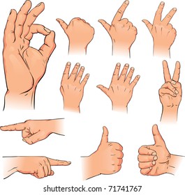 Vector illustration various poses of human hands