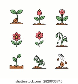 Vector illustration of various potted flowers and plants in bright colors