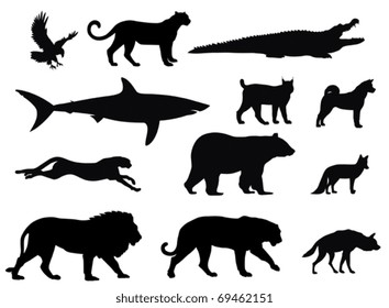 Ilustración vectorial de varias siluetas de animales depredadores