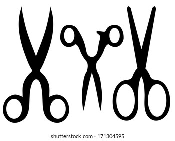 Vector illustration of various professional barber Scissors