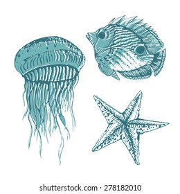 Vector Illustration of various sea inhabitant doodled in a vintage style. 
