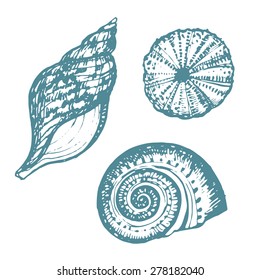 Vector Illustration of various sea inhabitant doodled in a vintage style. 